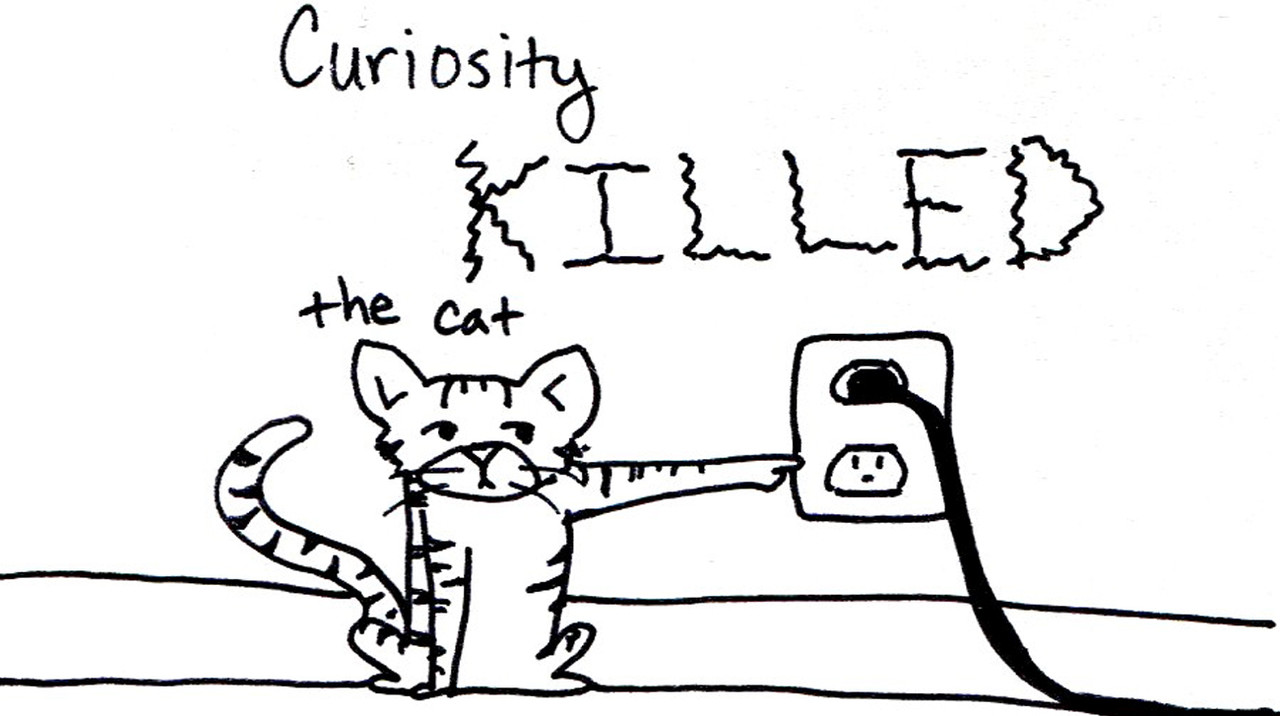 Curiosity Killed the Boredom !